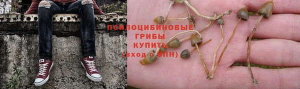 трава Бугульма