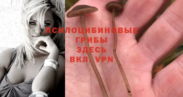 spice Бородино