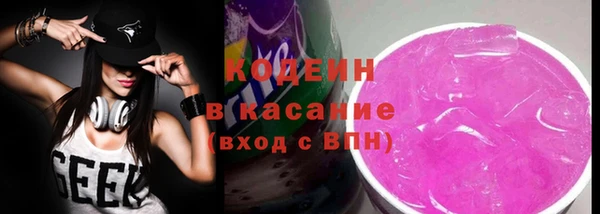 spice Бородино