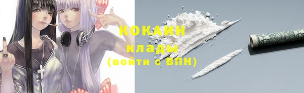 spice Бородино
