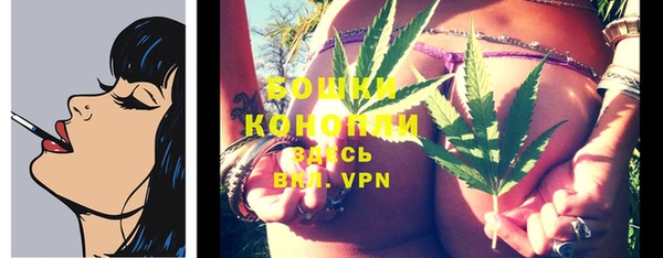 spice Бородино
