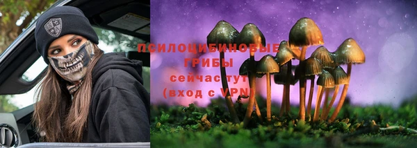трава Бугульма