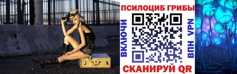 kraken зеркало  сколько стоит  Хабаровск  Галлюциногенные грибы Psilocybine cubensis 